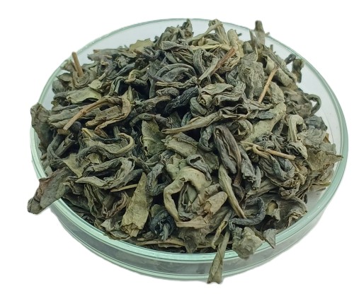 zielona ceylon opa
