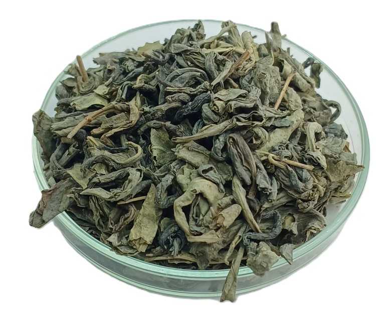 zielona ceylon opa